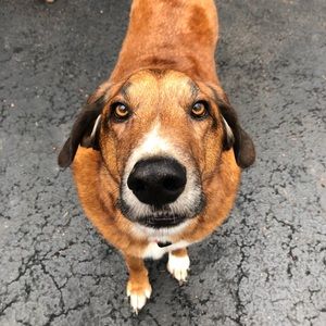 Meet your Posher, Carling